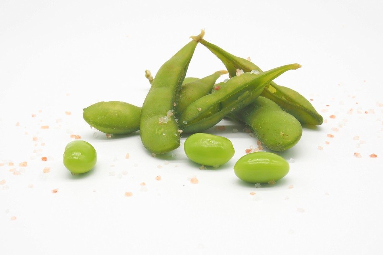 Can Dogs Eat Edamame? Is It Safe For Dogs?
