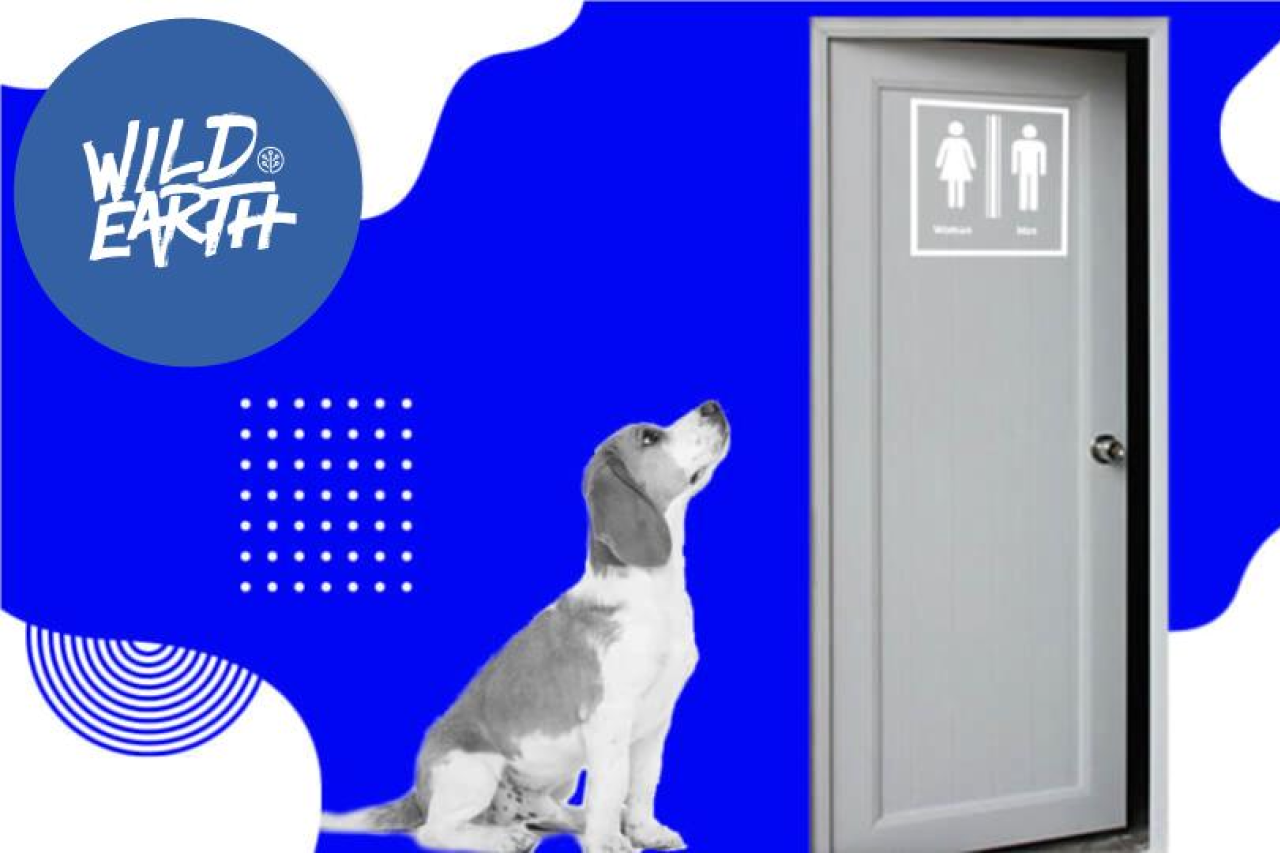 Canine IBD, Diet and Wild Earth