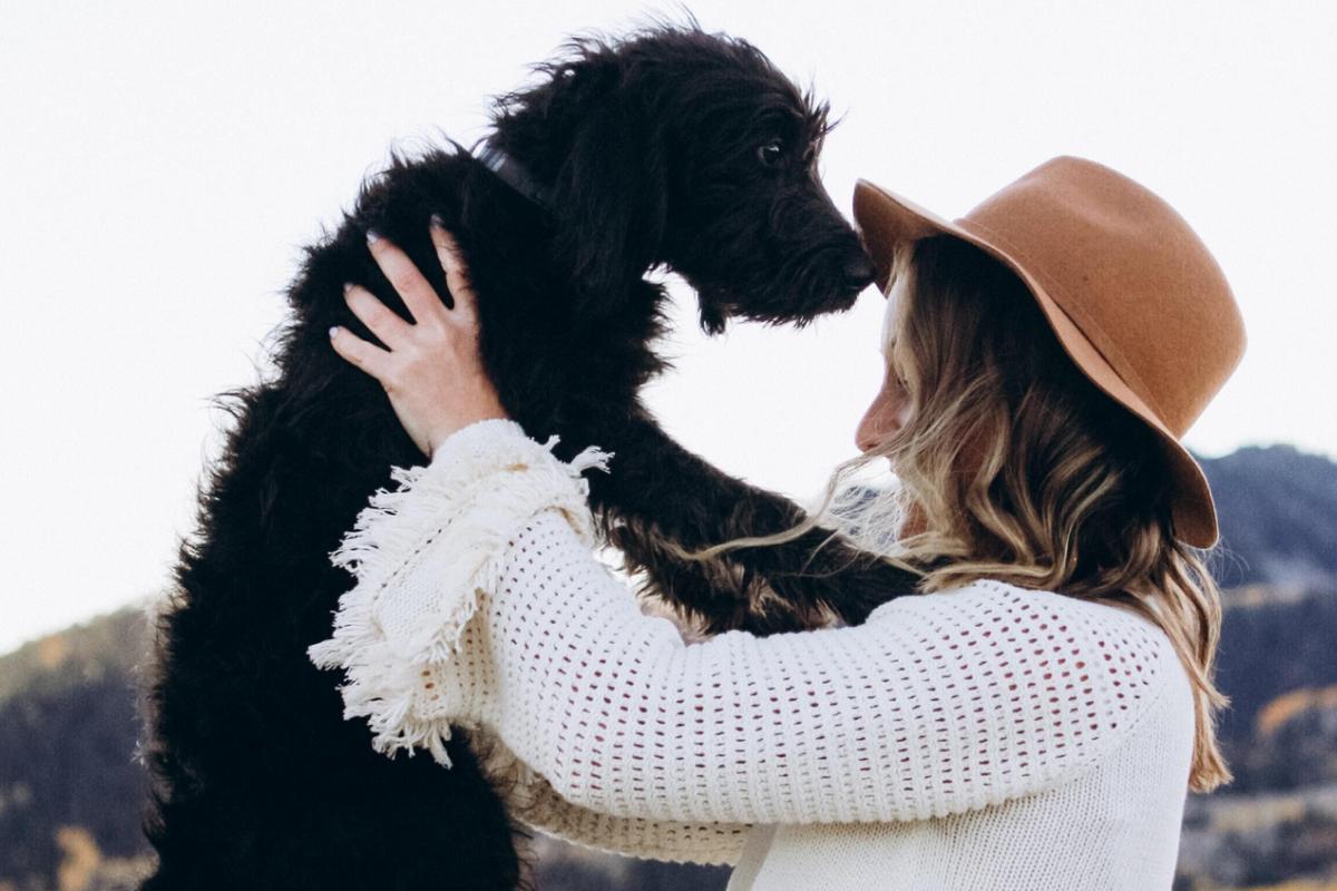 National Rescue Dog Day - Tips For Adopting A Rescue Dog