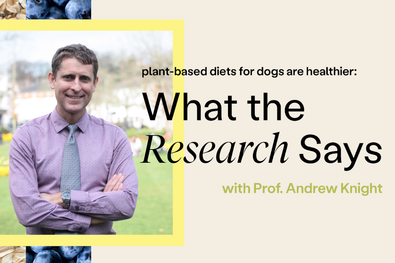 [Video] Plant-Based Diets For Dogs Are Healthier: What The Research Says