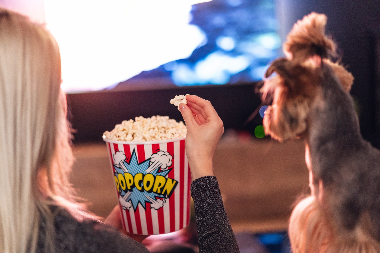5 Movies to Watch with Your Dog
