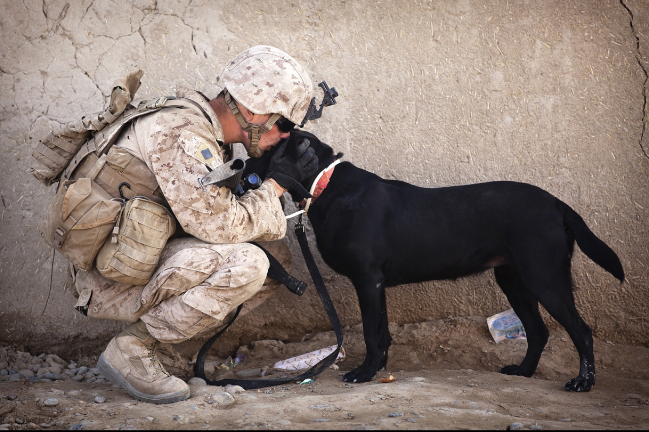 Veterans and Their Service Dogs