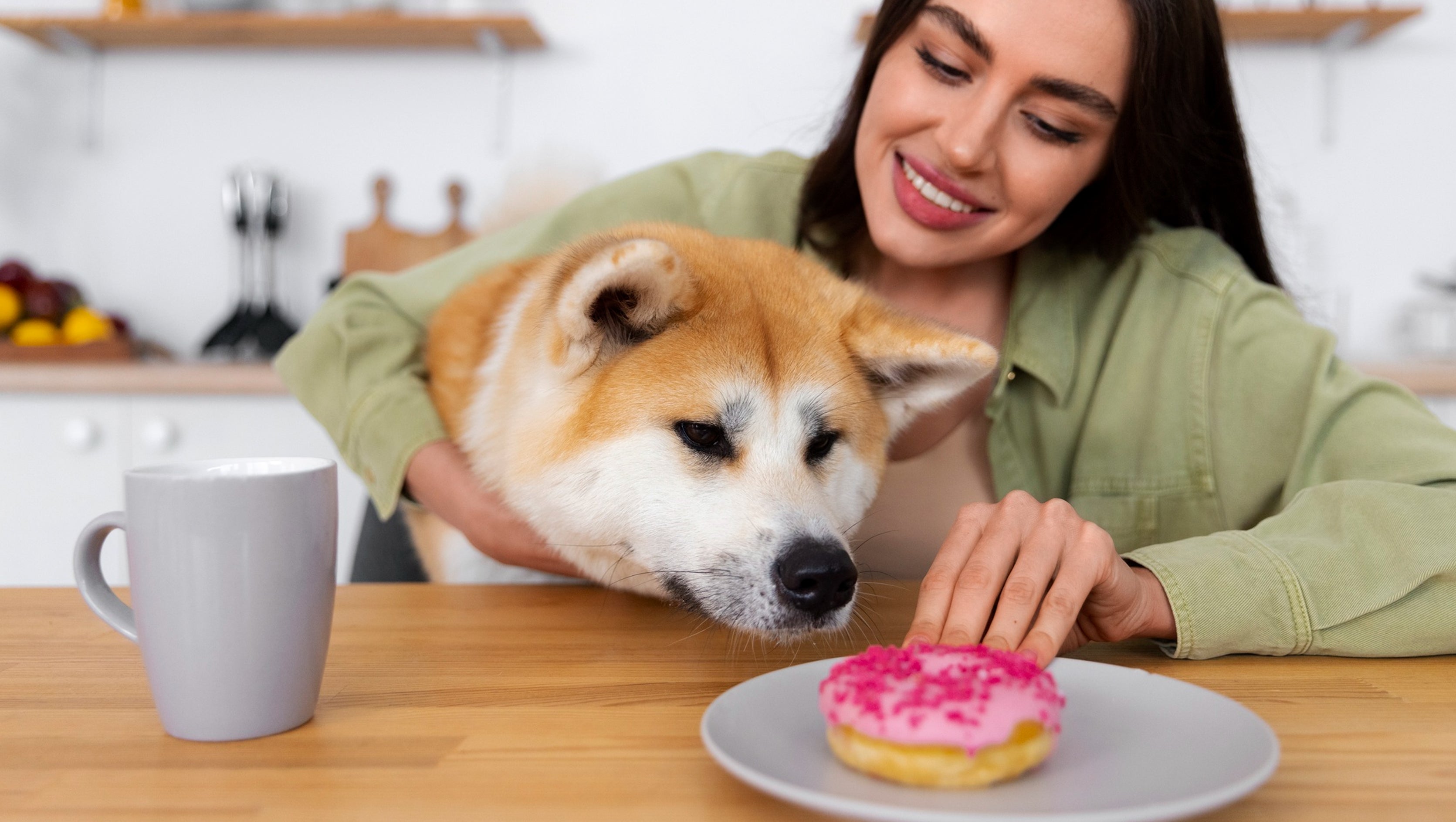 What is the Best Dog Food for Dogs with Allergies?