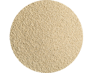 Dried Yeast
