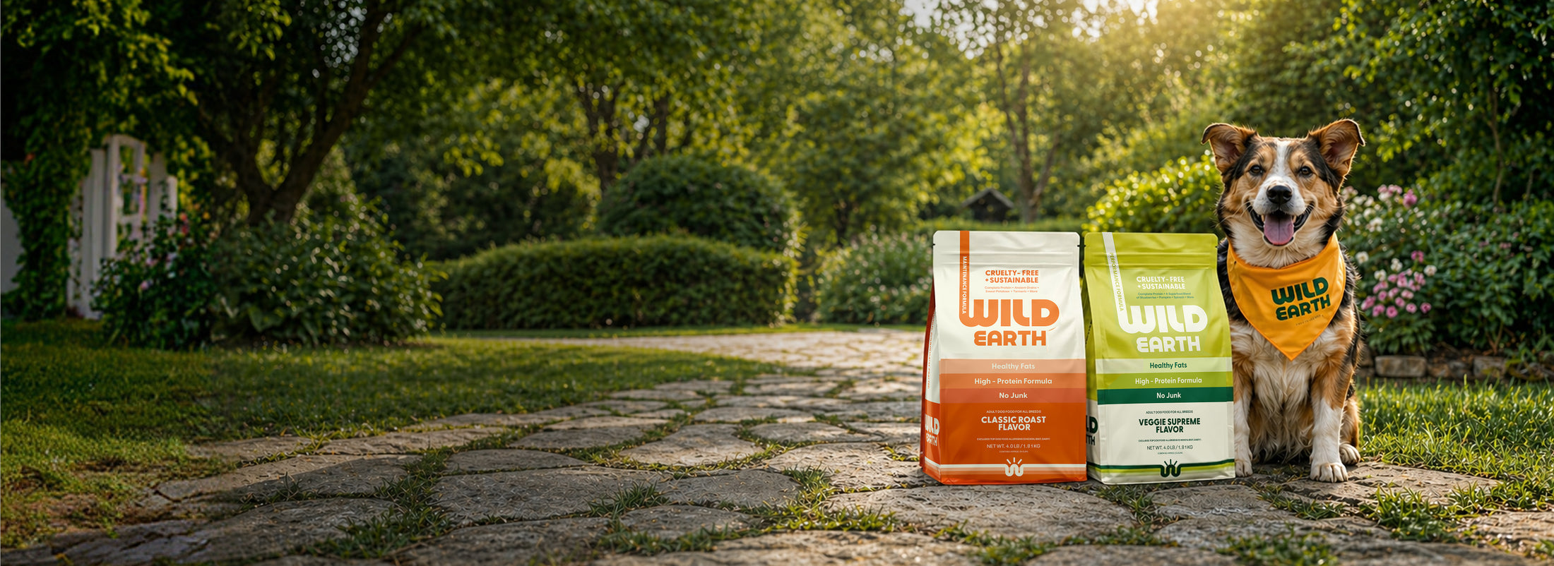 Vegan Dog Food,