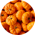 Close-up of small orange pumpkins.
