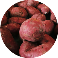 Sweet Potato