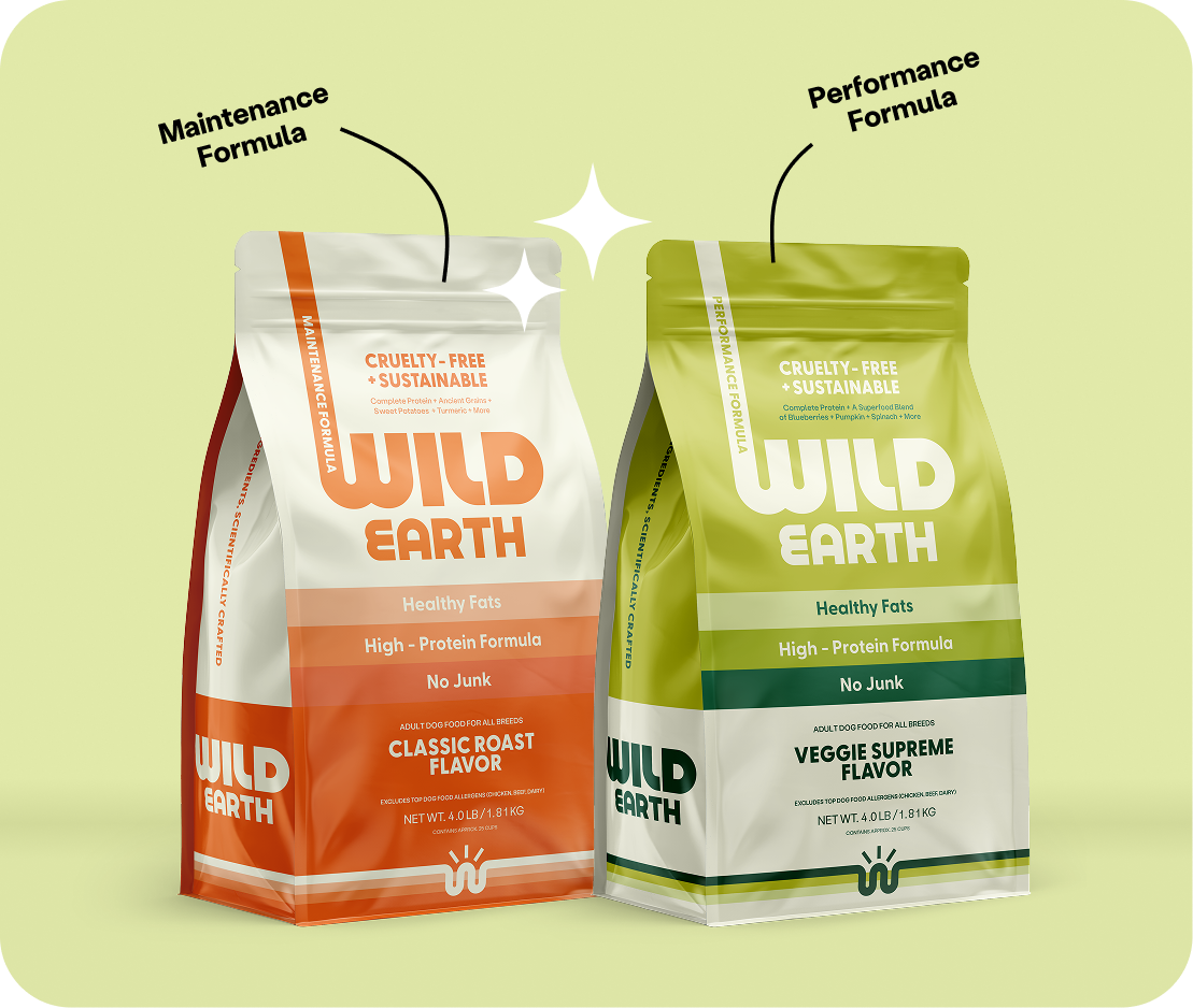 We Have Reinvented Dog Food