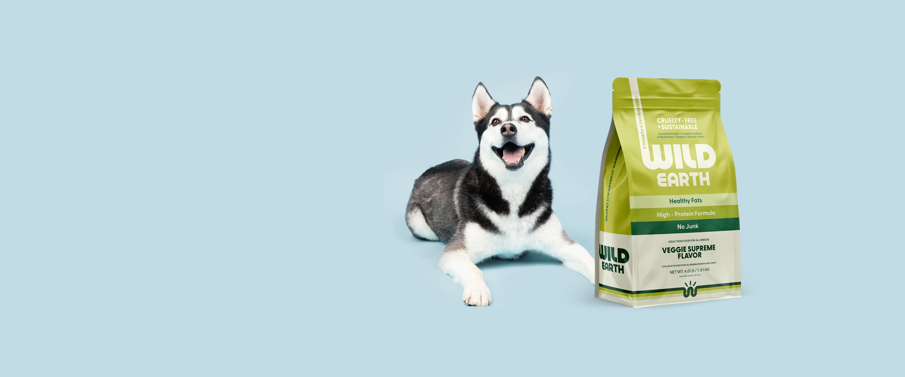 Dog lying next to a bag of Wild Earth dog food on a light blue background