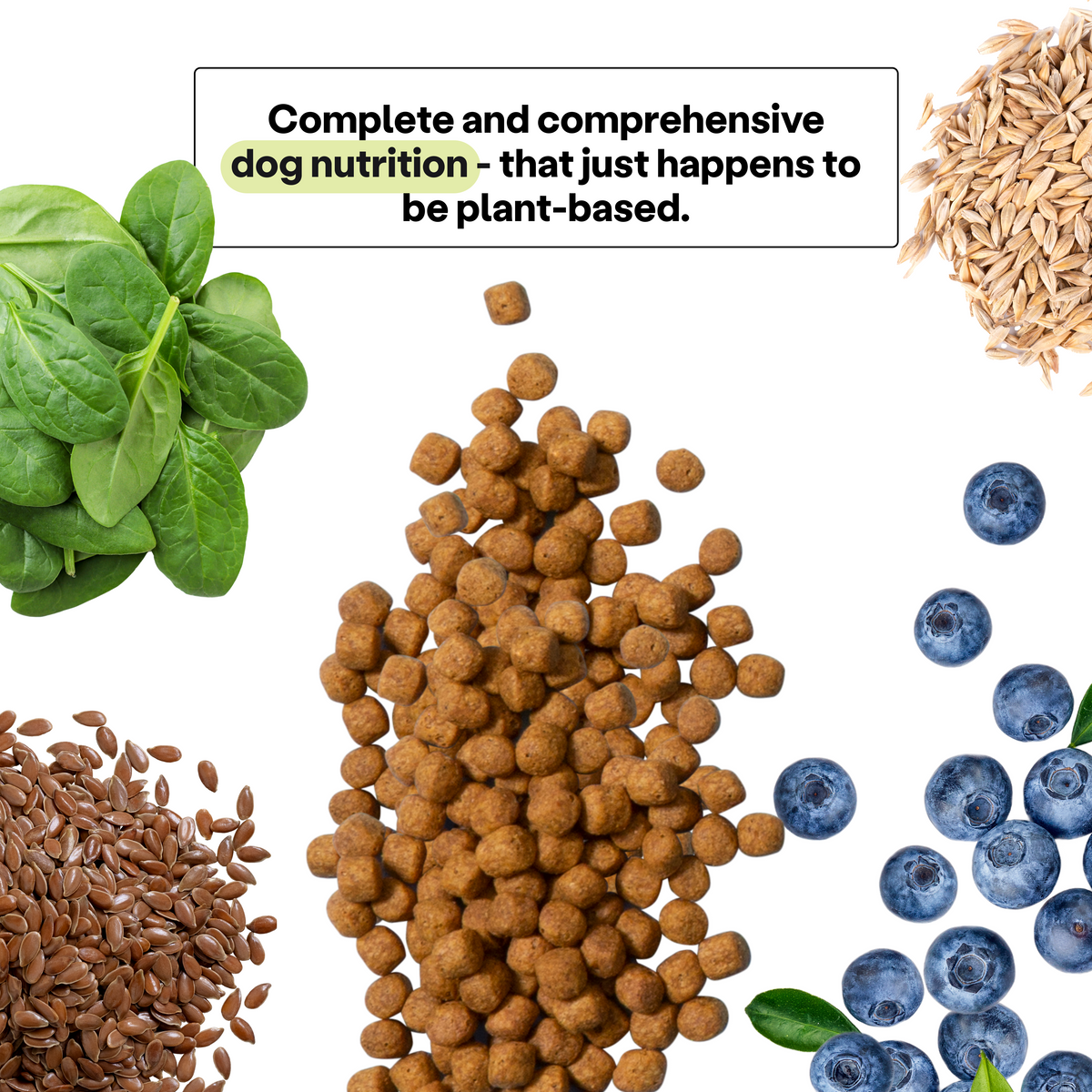 Performance Formula Dog Food Vegan Veggie Supreme Flavor