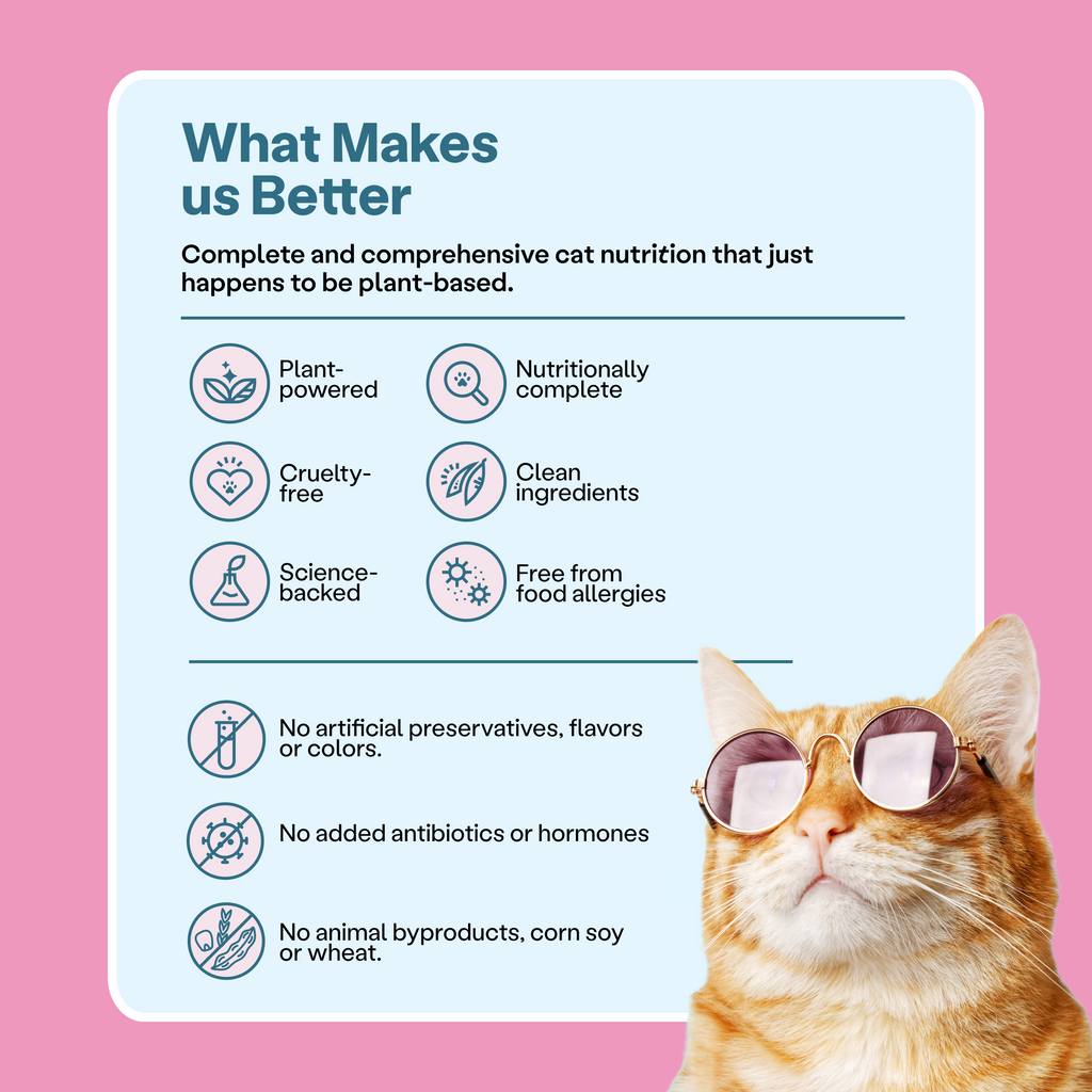 Infographics with a list of features for Unicorn Pate plant-based cat food, such as nutritionally complete, clean ingredients, no artificial flavors, no added hormones, no animal by-products, and cruelty-free.  