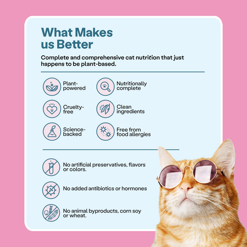 Infographics with a list of features for Unicorn Pate plant-based cat food, such as nutritionally complete, clean ingredients, no artificial flavors, no added hormones, no animal by-products, and cruelty-free.  