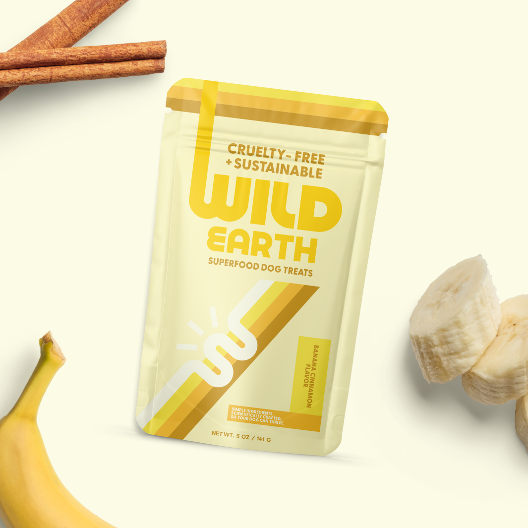 Wild Earth Banana Cinnamon Vegan Dog Treats.