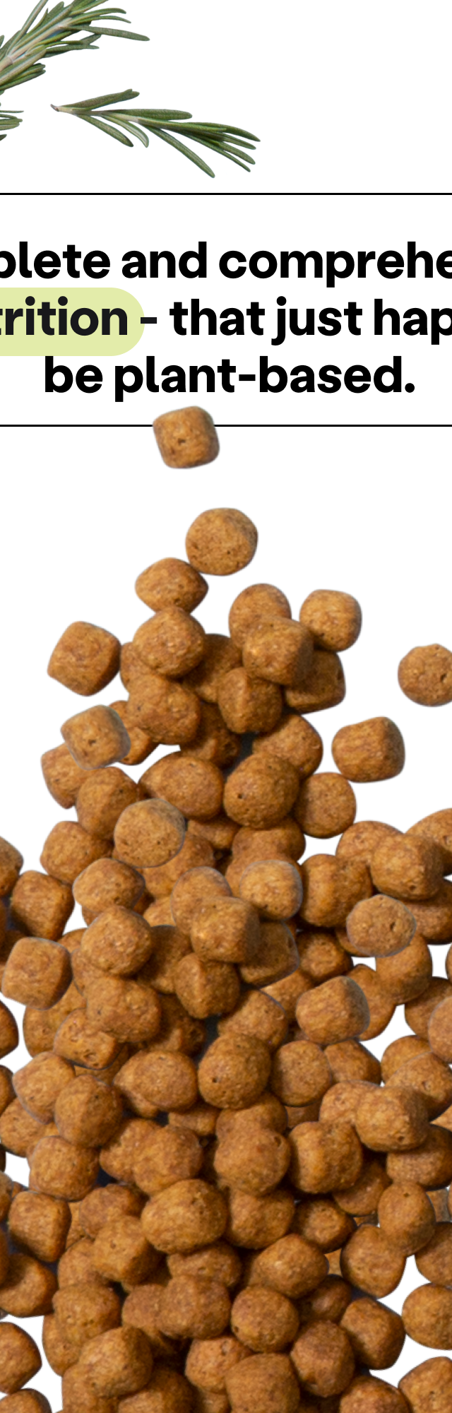 Wild Earth plant-based dog kibble surrounded with fruits and grains. 