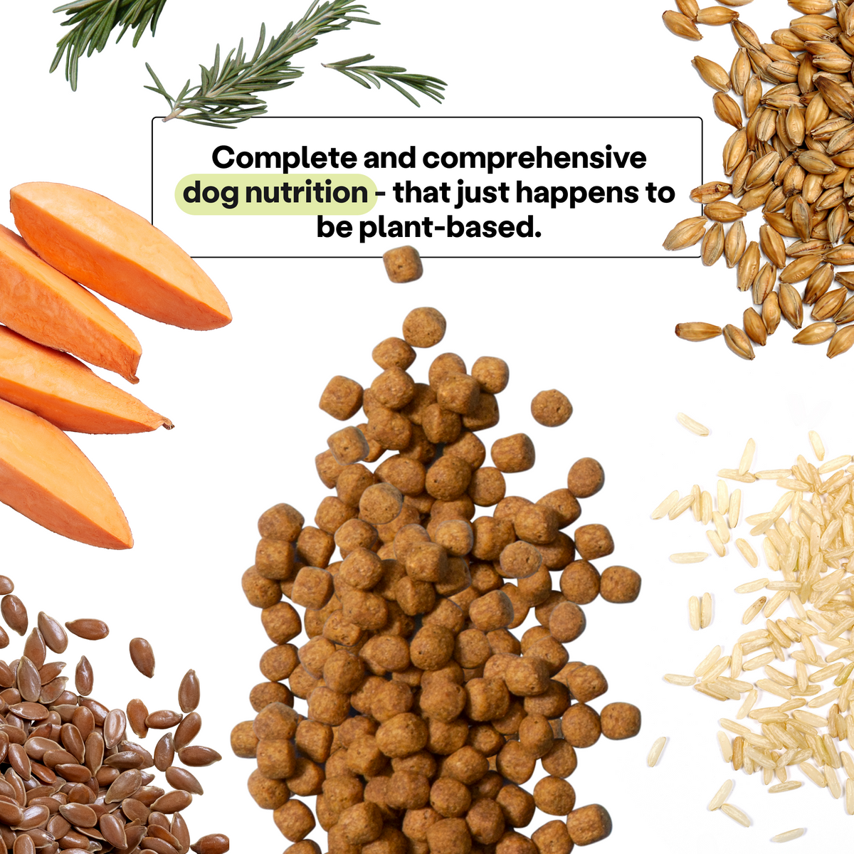Maintenance Formula Dog Food