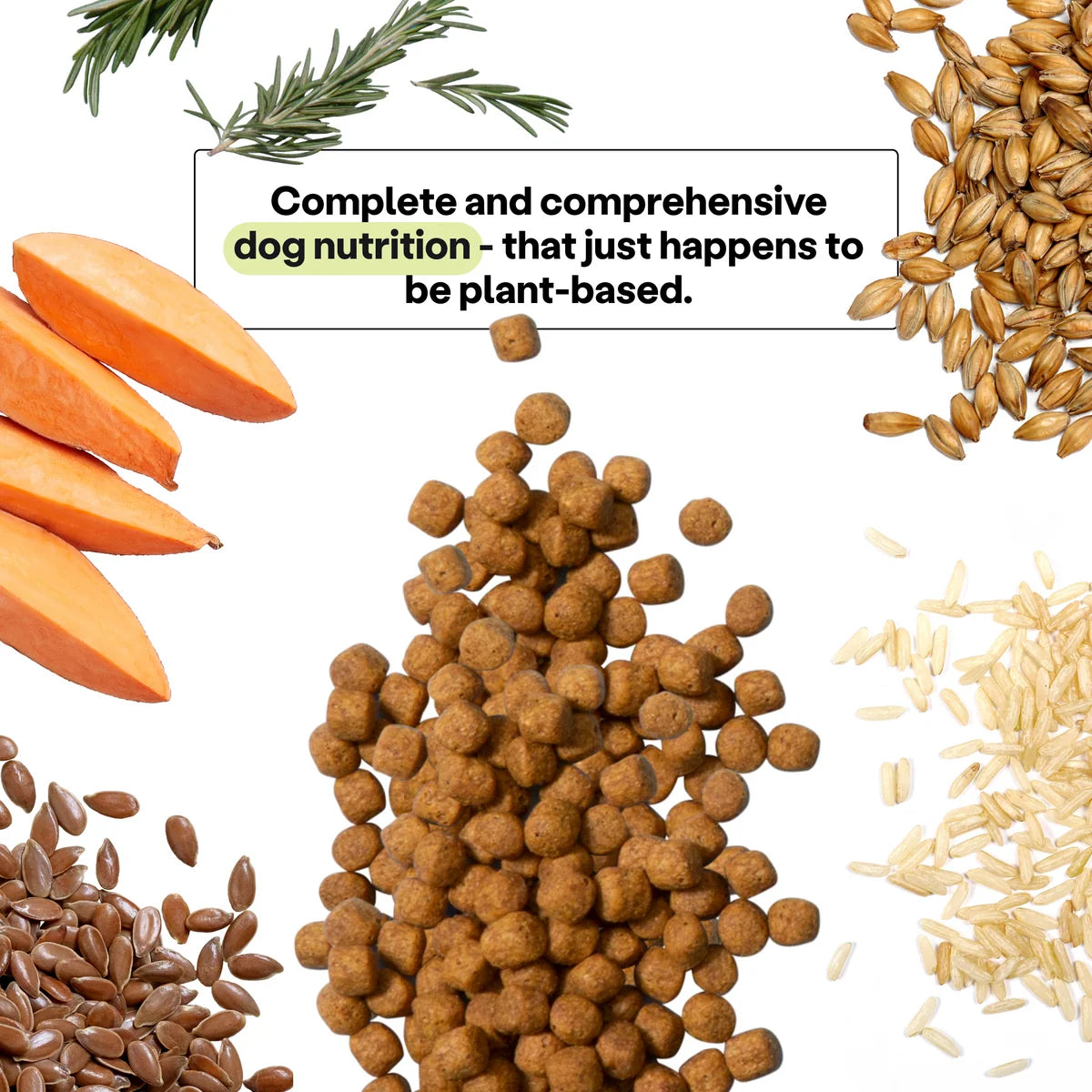 Maintenance Formula Dog Food