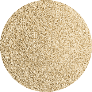 Dried Yeast