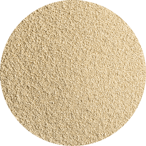 Dried Yeast