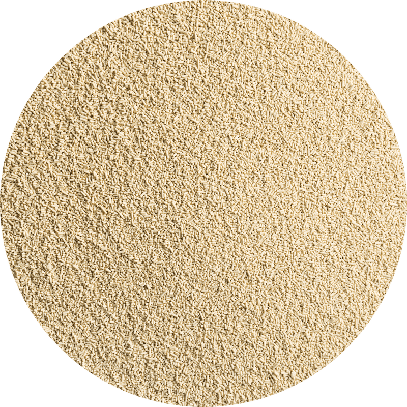 Dried Yeast