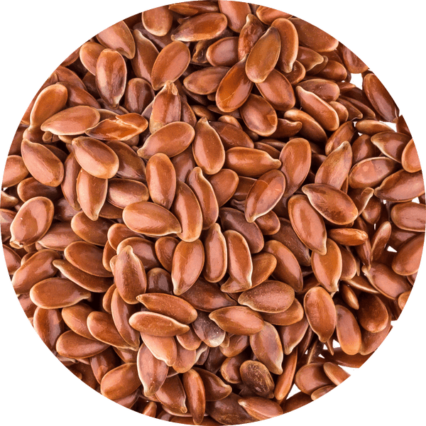 Flaxseed