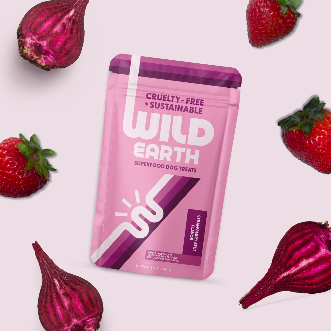 Wild Earth Strawberry Beet Vegan Dog Treats.