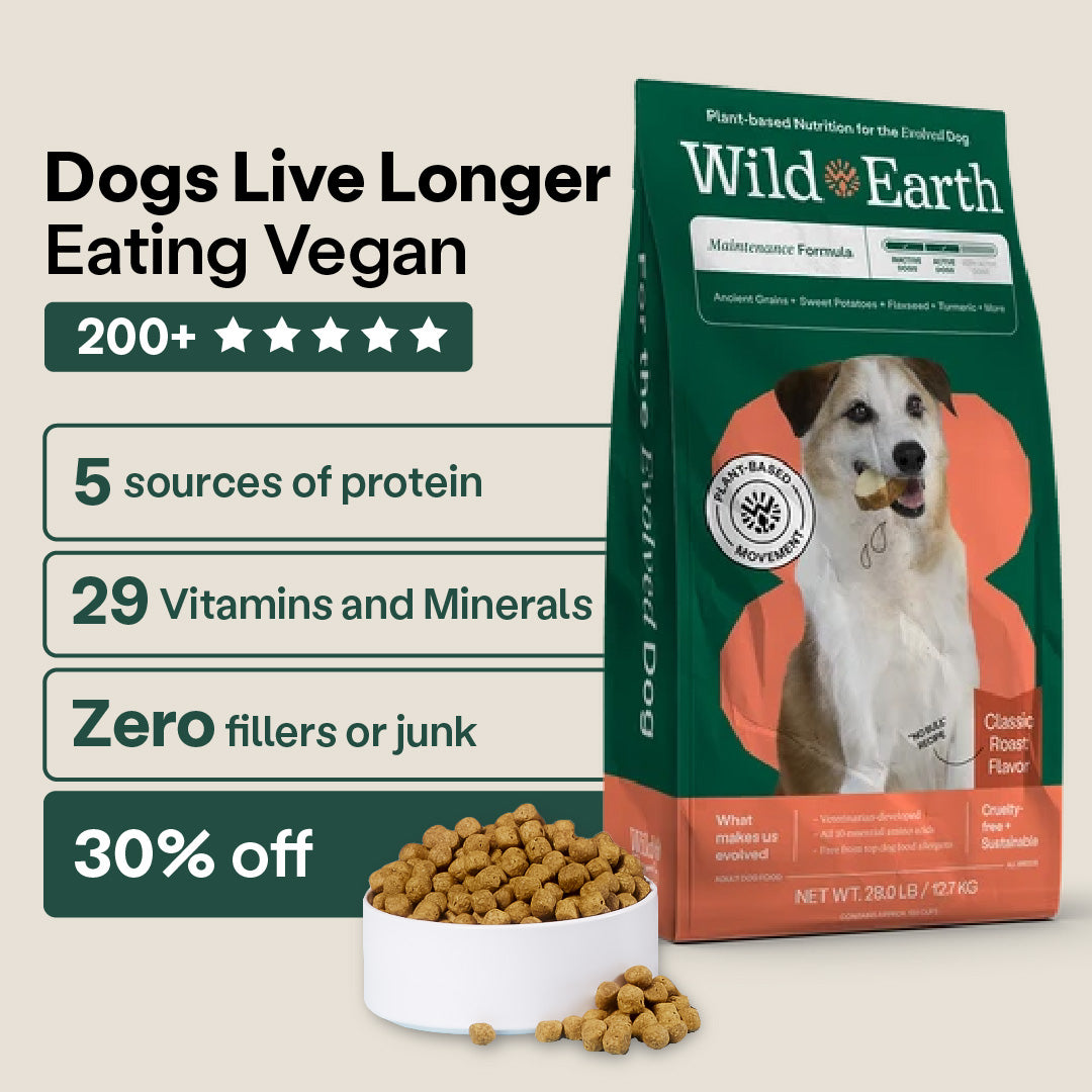 Dog food wild earth clearance