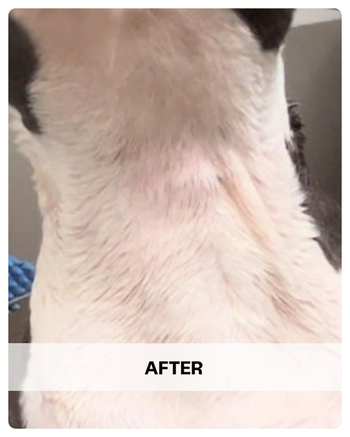 After Wild Earth [6 Months Later]