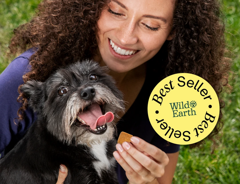 Superfood Dog Treat with Koji