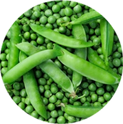 Close-up of green peas and beans