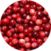 Close-up of red cranberries