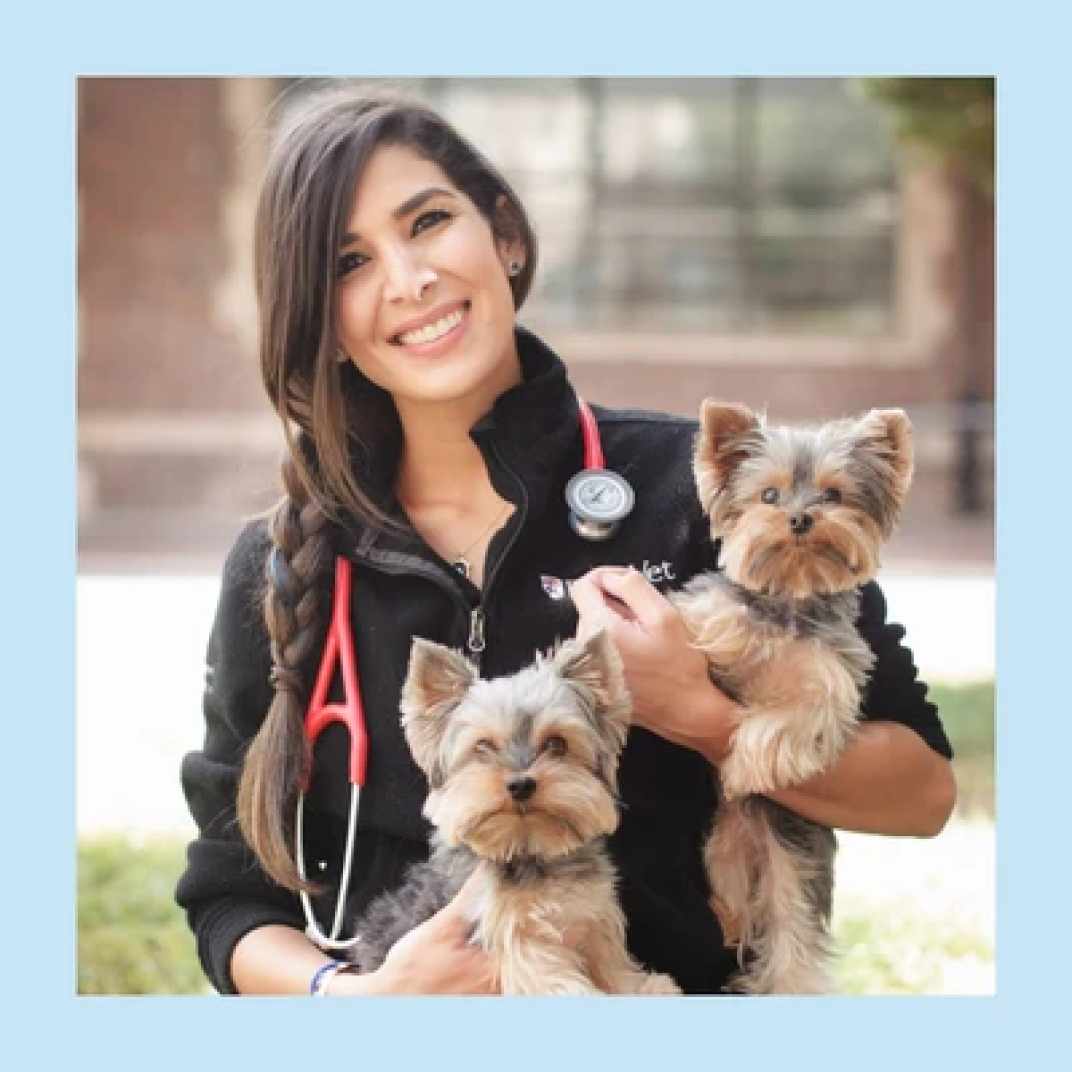 Dr. Ruiz Dasilva