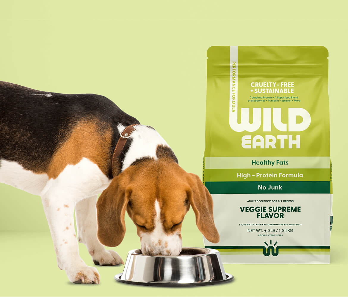 Dog eating from a bowl next to a package of Wild Earth dog food on a green background