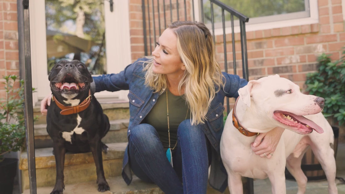 Wild Earth Pet Food