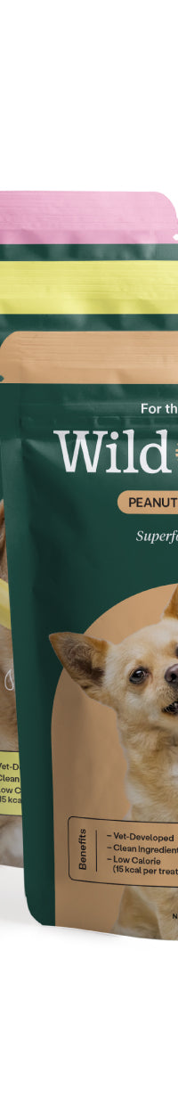 3 Pack - Superfood Dog Treats with Koji (5 oz per bag)
