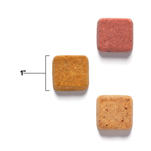 Superfood Dog Treats With Koji (5oz)