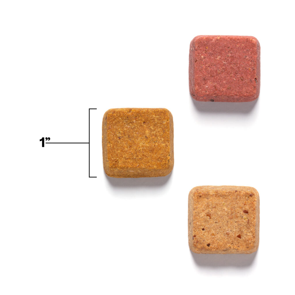 Wild earth dog 2025 treats