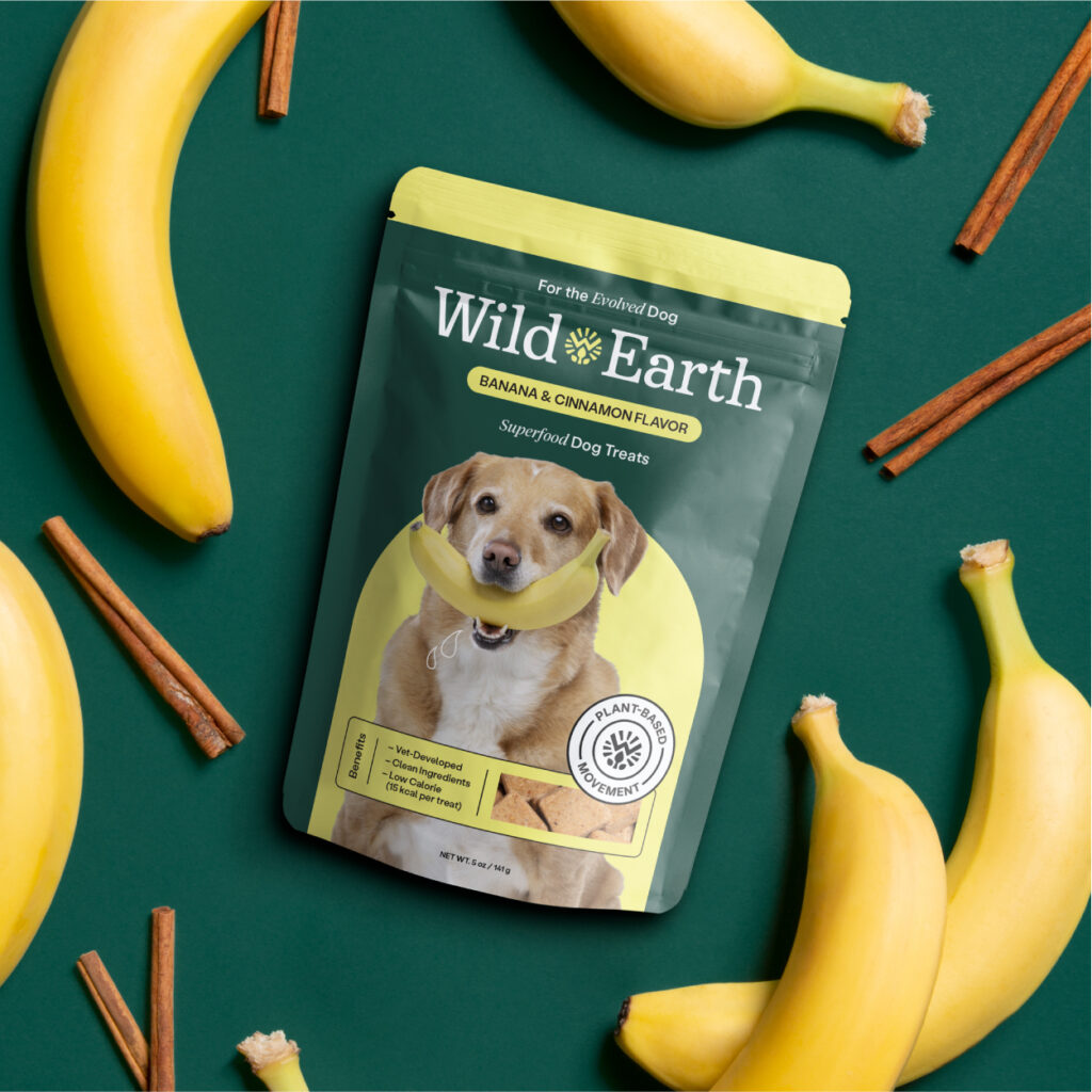 Puppy throwing cheap up whole food