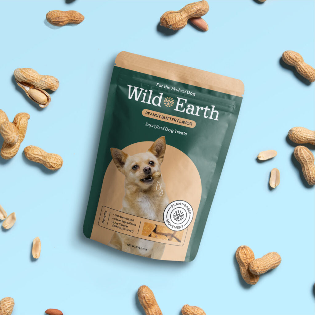 Dog drank shop baking soda water